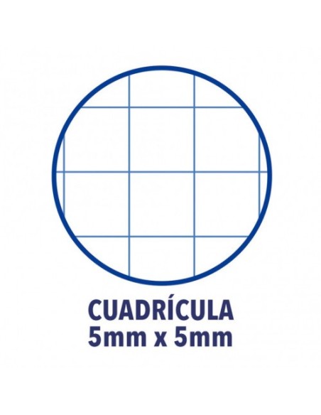 CUADERNO EUROPEANBOOK 1 TAPA EXTRADURA A4+ 80 HOJAS 5X5 COLOR FUCSIA OXFORD 100430270 (x5 unidades)