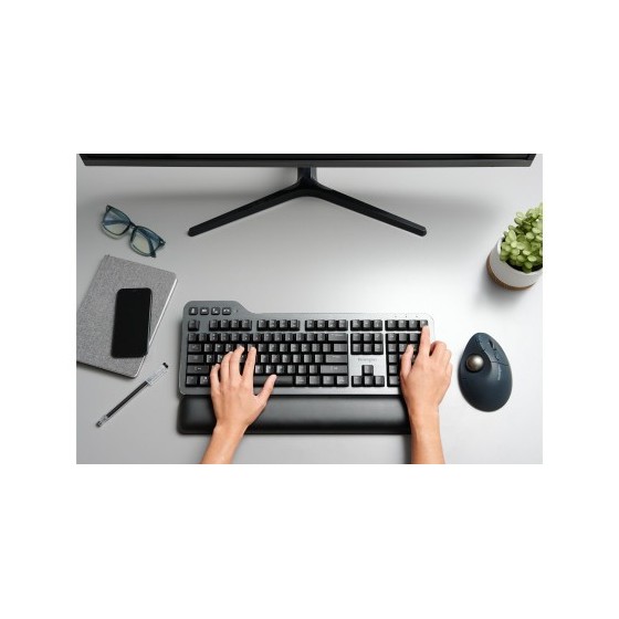 RATON INALAMBRICO TRACKBALL RECARGABLE  TB550 PROFIT ERGO NEGRO-PLATA KENSINGTON K72196WW