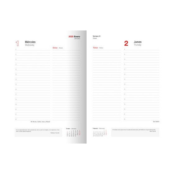 AGENDA 2025 TOKIO DIA/PAGINA 17X24 NEGRO CASTELLANO INGRAF 355562