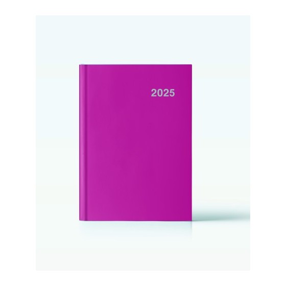 AGENDA 2025 PARIS DIA/PAGINA 15X21 FUCSIA CATALAN INGRAF 355423
