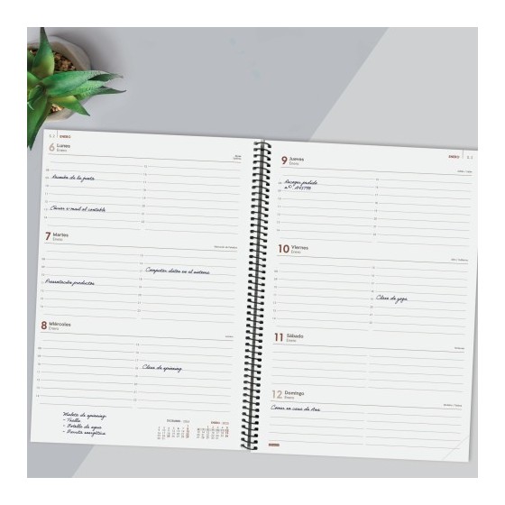 AGENDA 2025 BASIC YEAR E40 210X297MM SEMANA VISTA HORIZONTAL NEGRO FINOCAM 741466025