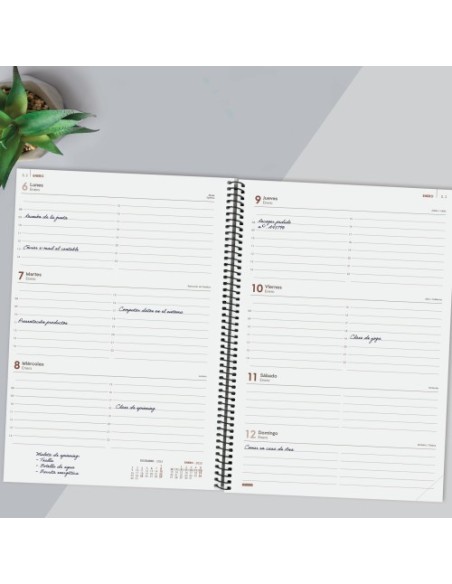 AGENDA 2025 BASIC YEAR E40 210X297MM SEMANA VISTA HORIZONTAL NEGRO FINOCAM 741466025