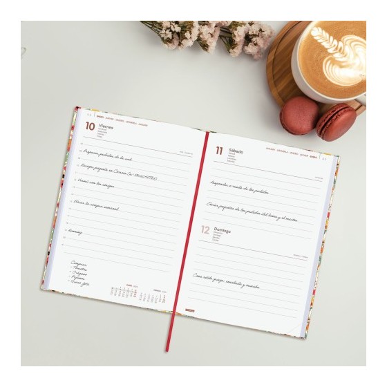 AGENDA 2025 DYNAMIC BERLIN Y10 140X204MM DIA PAGINA SPRING FINOCAM 624052125