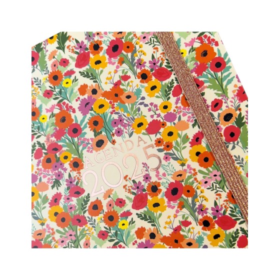 AGENDA 2025 DYNAMIC BERLIN Y10 140X204MM DIA PAGINA SPRING FINOCAM 624052125