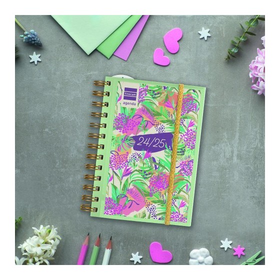 AGENDA ESCOLAR 2024-2025 8º 120X169 1 DÍA PÁGINA MINI-INSTITUT PERSONALIZABLE FINOCAM 530204225