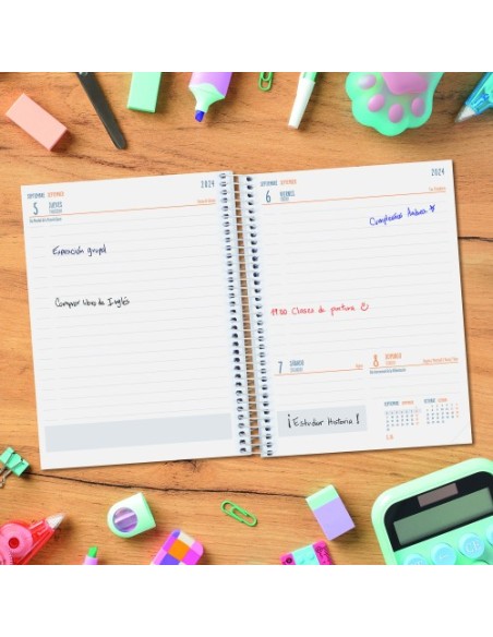 AGENDA ESCOLAR 2024-2025 4º 155X212 1 DÍA PÁGINA COOL LILA FINOCAM 645060825