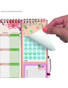 CALENDARIO 16 MESES SEPTIEMBRE 2024-DICIEMBRE 2025 PLUS-340X380 MES VISTA FRASES MOTIVACIONALES FINOCAM 540220225 2