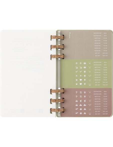 AGENDA 12 MESES 2025 ACADÉMICA ESPIRAL L (13 X 21 CM) KIWI TAPA DURA MOLESKINE DHSPK5212AMWH3Y25