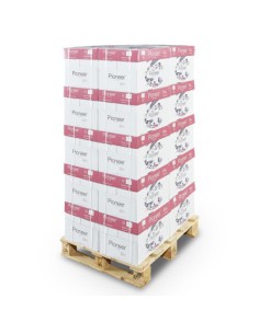 PAQUETE 500H PAPEL SPECIAL PREMIUM 80GR A3 PIONEER CIE 169 PNR0800195 (x5 unidades) 2