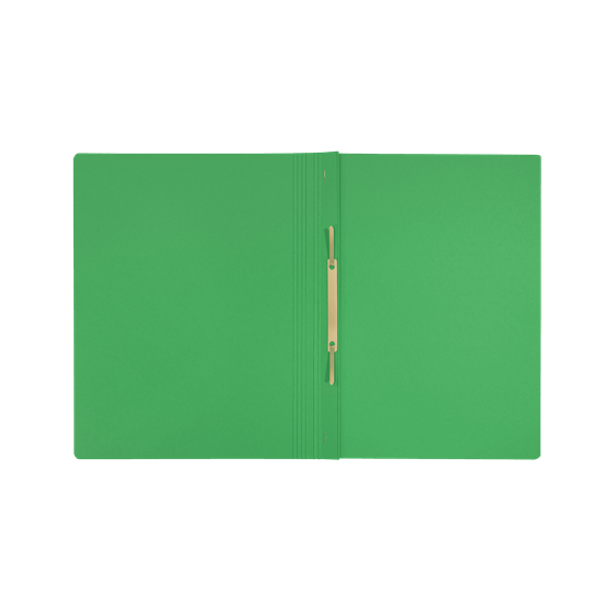Leitz 39040055 carpeta Cartón Verde A4 (x10 unidades)