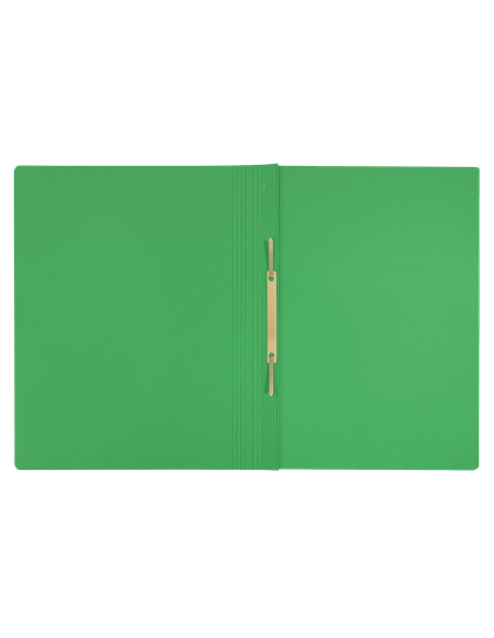 Leitz 39040055 carpeta Cartón Verde A4 (x10 unidades)