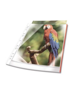 Durable 265503 protector de hojas A4 Polipropileno (PP) 25 pieza(s)