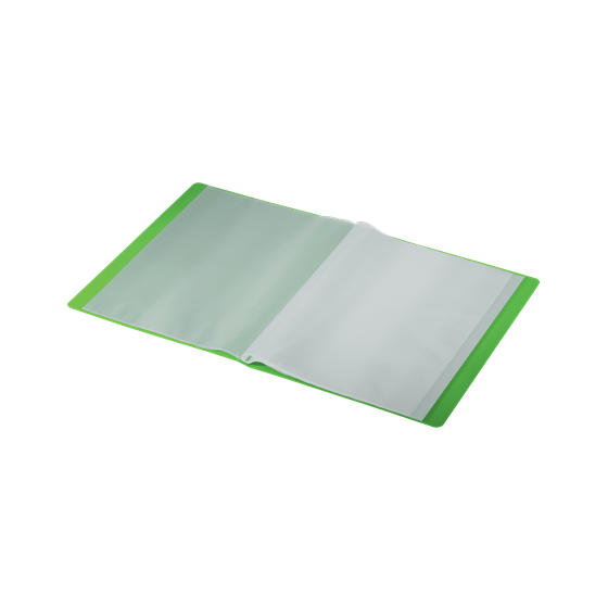 CARPETA POLIPROPILENO CON 40 FUNDAS A4 RECYCLE VERDE LEITZ 46770055