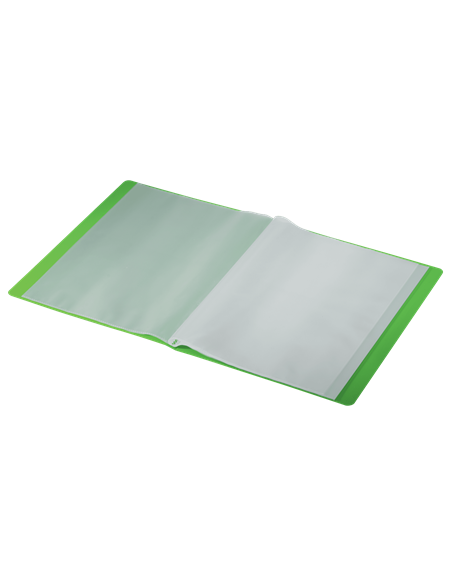 CARPETA POLIPROPILENO CON 40 FUNDAS A4 RECYCLE VERDE LEITZ 46770055