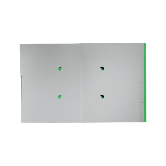 CARPETA CLASIFICADORA DE CARTON 12 POSICIONES A4 RECYCLE 100% VERDE LEITZ 39150055