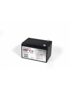 Salicru UBT 12/12