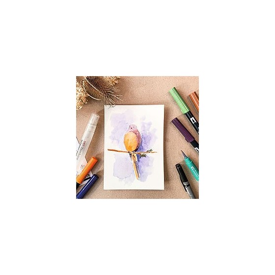 Tombow WCS-NAT kit de manualidades para niños