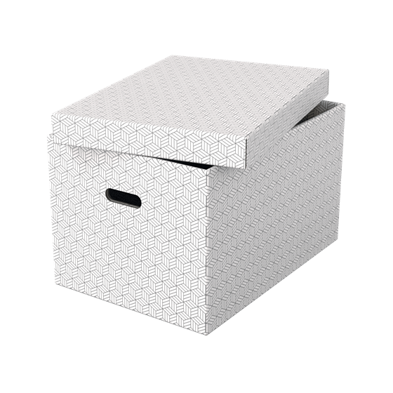PACK 3 CAJAS BLANCAS 510X355X305MM ESSELTE 628286
