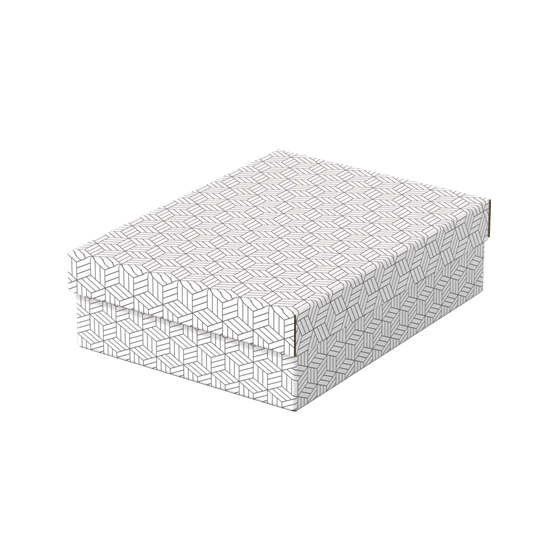 PACK 3 CAJAS BLANCAS 360X265X100MM ESSELTE 628284