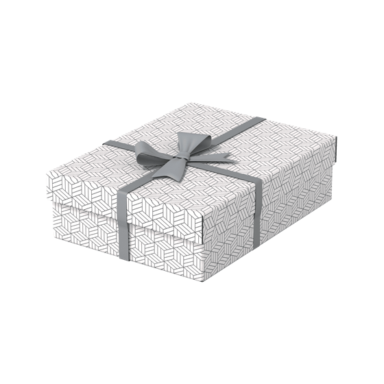 PACK 3 CAJAS BLANCAS 360X265X100MM ESSELTE 628284