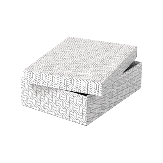 PACK 3 CAJAS BLANCAS 360X265X100MM ESSELTE 628284
