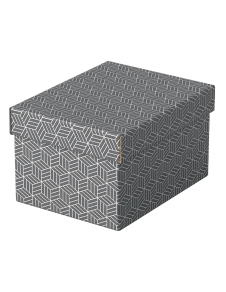 PACK 3 CAJAS GRISES 255X200X150MM ESSELTE 628281