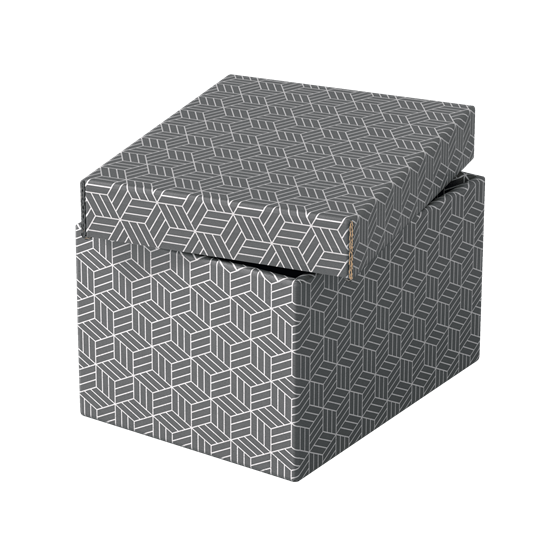 PACK 3 CAJAS GRISES 255X200X150MM ESSELTE 628281