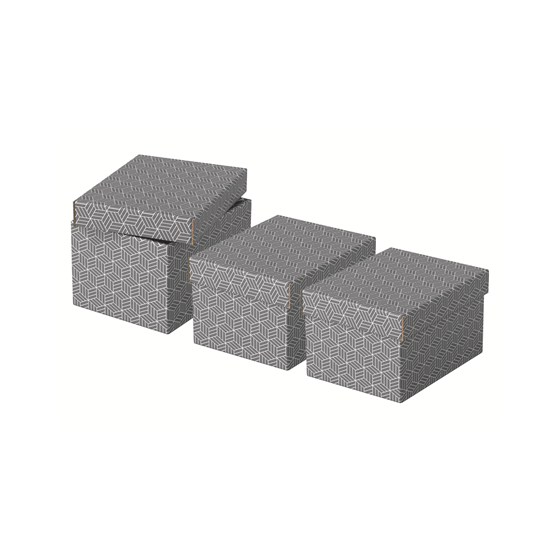 PACK 3 CAJAS GRISES 255X200X150MM ESSELTE 628281