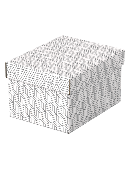 PACK 3 CAJAS BLANCAS 255X200X150MM ESSELTE 628280