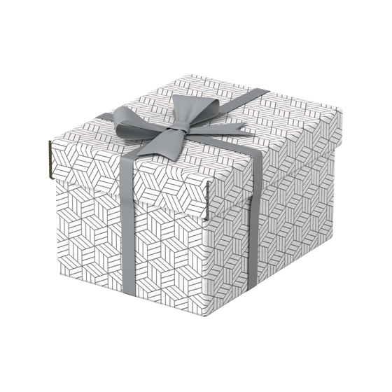 PACK 3 CAJAS BLANCAS 255X200X150MM ESSELTE 628280
