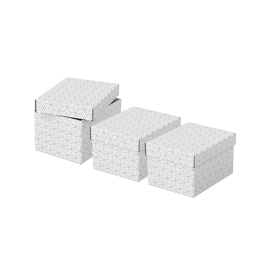 PACK 3 CAJAS BLANCAS 255X200X150MM ESSELTE 628280