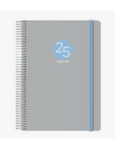 AGENDA 2025 MEMPHIS DÍA PÁGINA 15 X 21 CM MODELO GRIS DOHE 12689 - 25