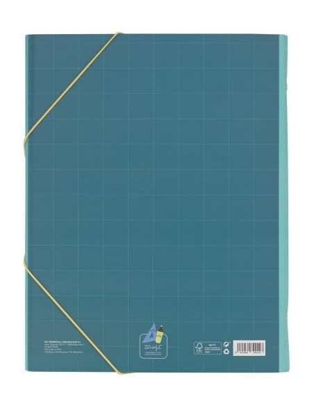 CARPETA SEPARADORA - ESTO ESTÁ HECHO! MR WONDERFUL WOA11103