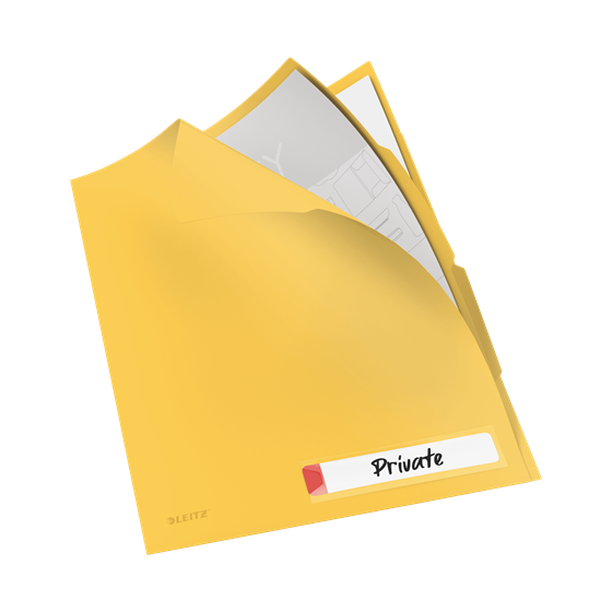 P-3 DOSSIER PRIV. C/SEP. COSY AMARILLO LEITZ 47160019
