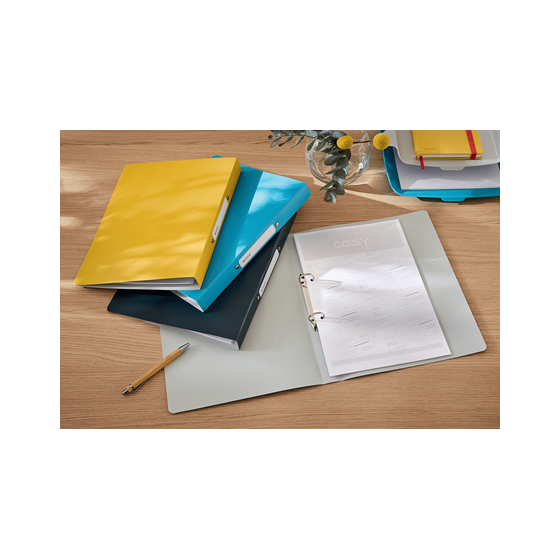 CARPETA 2 ANILLAS ACTIVE COSY AMARILLO LEITZ 42380019