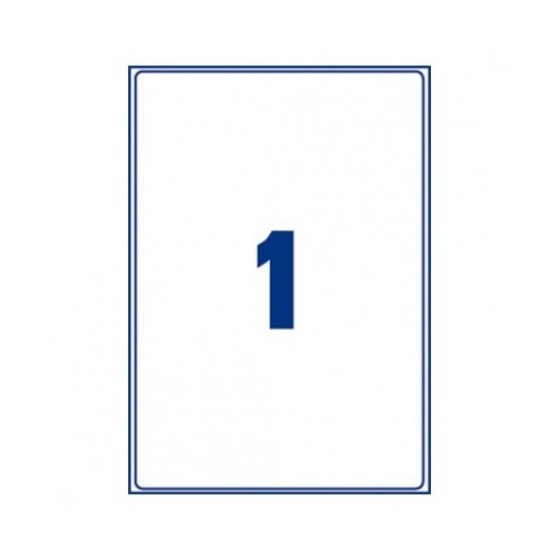 Avery AM001A4 etiqueta autoadhesiva Rectángulo Desmontable Transparente 10 pieza(s)