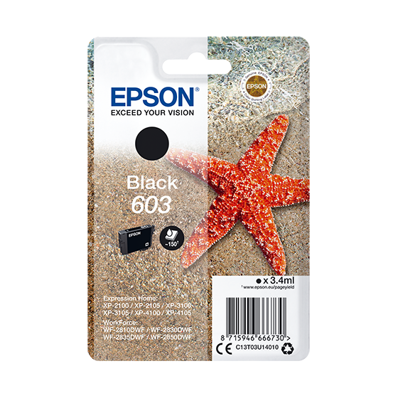 Epson Singlepack Black 603 Ink