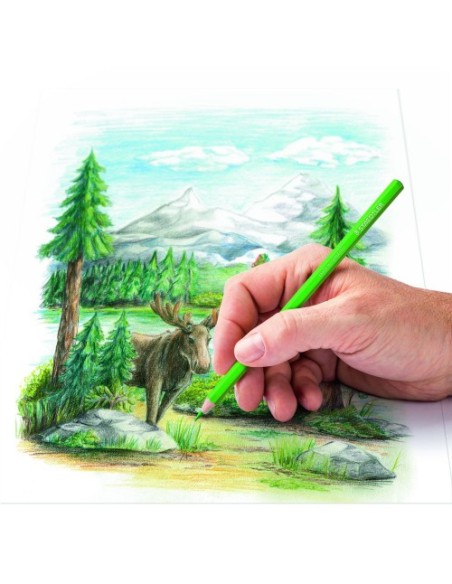 CALA DE CARTÓN CON 72 LÁPICES, COLORES SURTIDOS STAEDTLER 146C C72