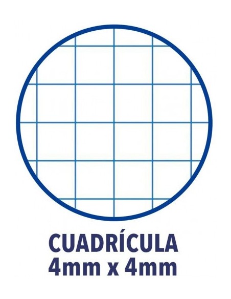 PACK 4+1 CUADERNO ESPIRAL CLASSIC W-E FOLIO 80 HOJAS 4X4 CON MARGEN COLORES TENDENCIA OXFORD 400122766