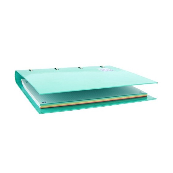 Oxford Europeanbinder carpeta de cartón A4+ Colores surtidos