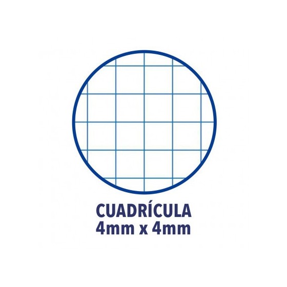 Oxford 400058179 papel de cuaderno 210 x 297 mm (A4) 120 hojas