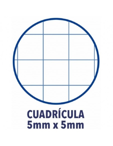 BLOC ENCOLADO COLOR 1 TAPA BLANDA A4+ 80 HOJAS 5X5 COLOR TURQUESA OXFORD 400123679 (x5 unidades)