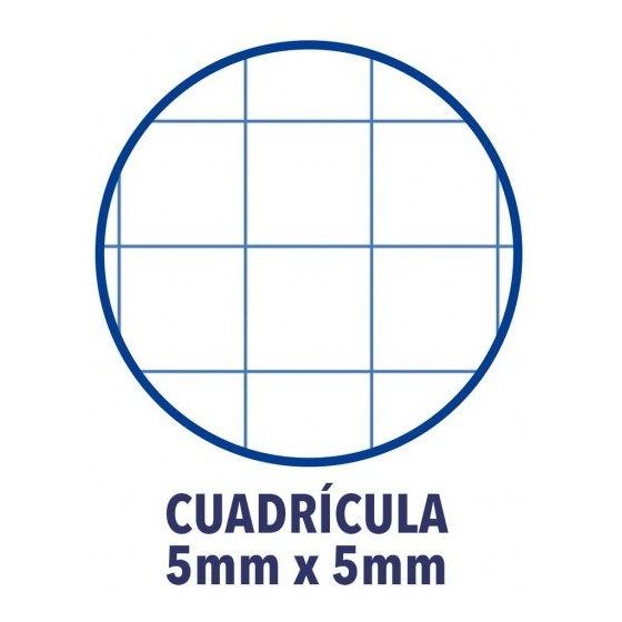CUADERNO EUROPEANBOOK 5 TAPA EXTRADURA A4+ 120 HOJAS 5X5 COLORES VIVOS 50% HOJAS GRATIS OXFORD 100430279 (x5 unidades)