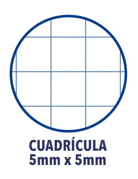 CUADERNO EUROPEANBOOK 5 TAPA EXTRADURA A4+ 120 HOJAS 5X5 COLORES VIVOS 50% HOJAS GRATIS OXFORD 100430279 (x5 unidades)