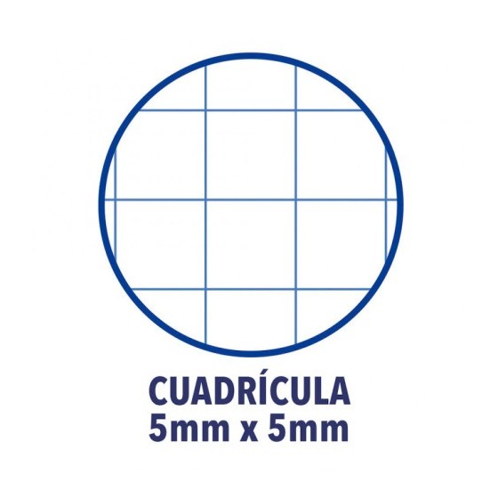 CUADERNO EUROPEANBOOK 1 TAPA EXTRADURA A4+ 80 HOJAS 5X5 COLOR AZUL OSCURO OXFORD 100430197 (x5 unidades)