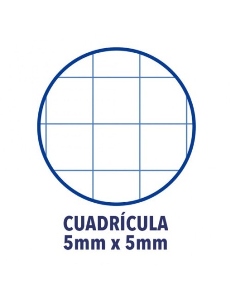 CUADERNO EUROPEANBOOK 1 TAPA EXTRADURA A4+ 80 HOJAS 5X5 COLOR AZUL OSCURO OXFORD 100430197 (x5 unidades)