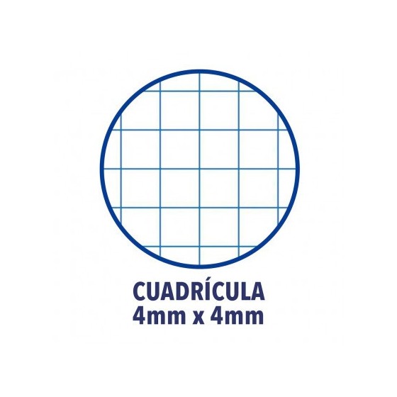Oxford 400088603 cuaderno y block 80 hojas Colores surtidos (x5 unidades)