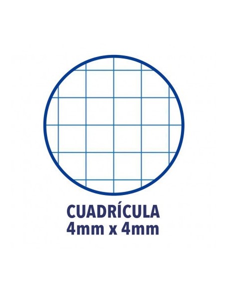 Oxford 400088603 cuaderno y block 80 hojas Colores surtidos (x5 unidades)