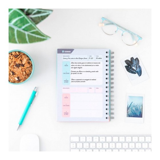 PLANIFICADOR ATEMPORAL PARA PROFES DOBLE ESPIRAL "LO ESTAS HACIENDO DE 10" MR.WONDERFUL WOA09660ES