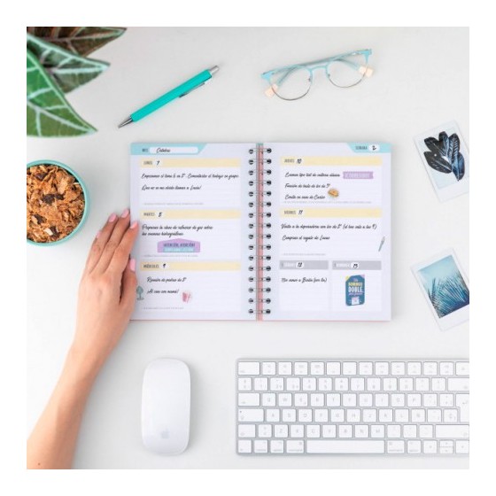 PLANIFICADOR ATEMPORAL PARA PROFES DOBLE ESPIRAL "LO ESTAS HACIENDO DE 10" MR.WONDERFUL WOA09660ES